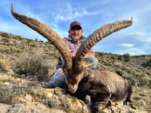 Beceite Ibex hunting