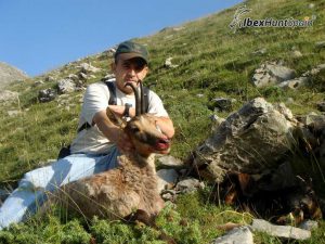 Cantabrian chamois Hunting