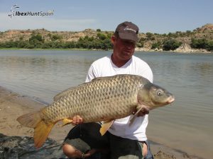 Carp fishing in Ebro