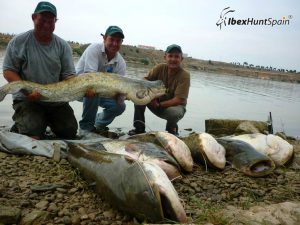 Catfish fishing in Ebro