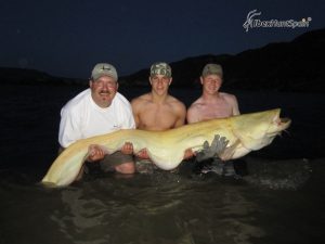 Catfish fishing in Ebro