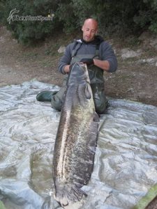 Catfish fishing in Ebro