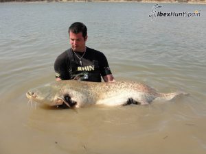 Catfish fishing in Ebro