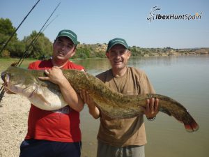 Catfish fishing in Ebro