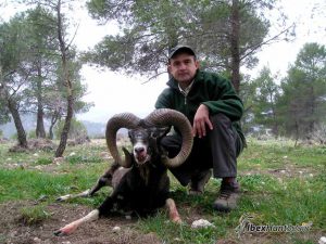 Iberian Mouflon, Iberian Mouflon Hunt, Iberian Mouflon Hunting, Iberian Mouflon Hunting in Spain, European Mouflon, Hunting Mouflon in Spain