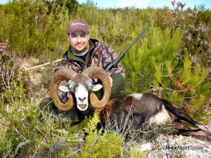 Iberian Mouflon, Iberian Mouflon Hunt, Iberian Mouflon Hunting, Iberian Mouflon Hunting in Spain, European Mouflon, Hunting Mouflon in Spain