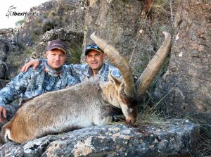 Ronda Ibex, Ronda Ibex hunt, Ronda Ibex Hunting, Ronda Ibex hunt in Spain, Hunting Ronda Ibex,
