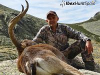 Gredos Ibex, Gredos Ibex hunt, Gredos ibex hunting, Gredos ibex hunting in Spain, Hunting Gredos ibex,
