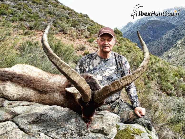 Gredos ibex Hunting