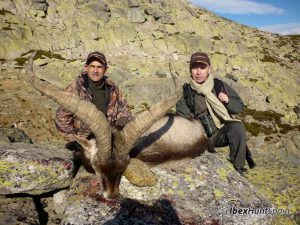 Gredos Ibex, Gredos Ibex hunt, Gredos ibex hunting, Gredos ibex hunting in Spain, Hunting Gredos ibex,