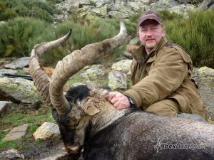 Gredos Ibex, Gredos Ibex hunt, Gredos ibex hunting, Gredos ibex hunting in Spain, Hunting Gredos ibex,