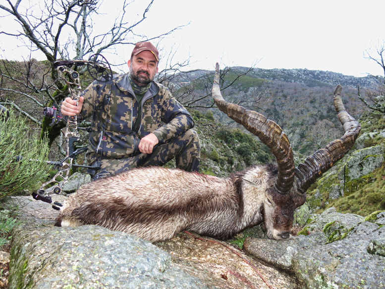 gredos-ibex-bow-hunting-in-spain- 8-15
