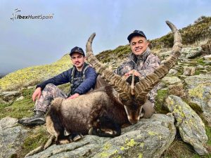 gredos ibex hunts in Spain