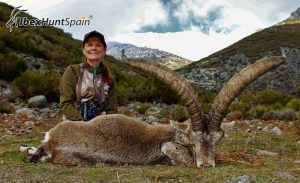 Gredos Ibex, Gredos Ibex hunt, Gredos ibex hunting, Gredos ibex hunting in Spain, Hunting Gredos ibex,
