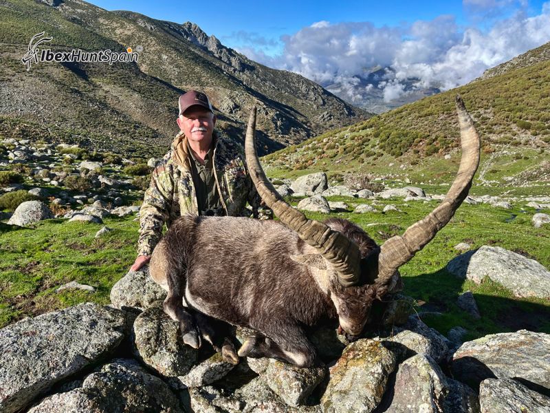 gredos ibex hunting in Spain