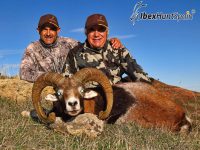 Iberian Mouflon, Iberian Mouflon Hunt, Iberian Mouflon Hunting, Iberian Mouflon Hunting in Spain, European Mouflon, Hunting Mouflon in Spain