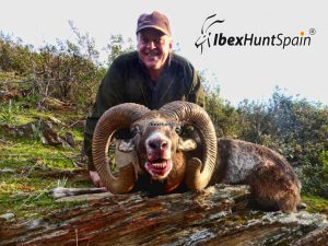 Iberian Mouflon, Iberian Mouflon Hunt, Iberian Mouflon Hunting, Iberian Mouflon Hunting in Spain, European Mouflon, Hunting Mouflon in Spain