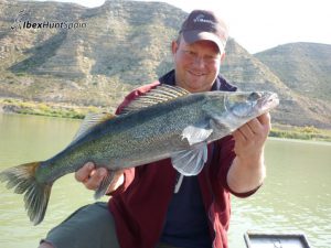 Zander fishing in Ebro
