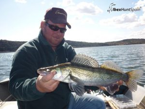 Zander fishing in Ebro