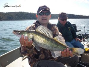 Zander fishing in Ebro