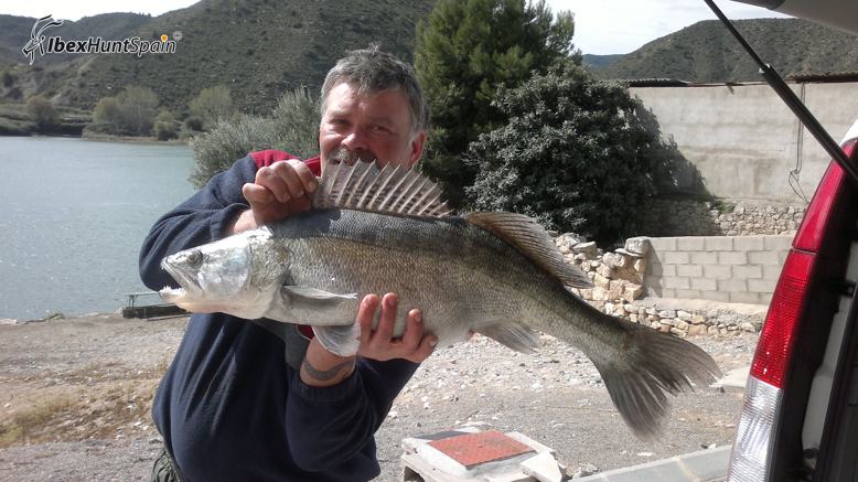 Zander fishing in Ebro