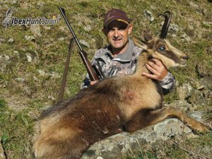 Pyrenean Chamois hunting