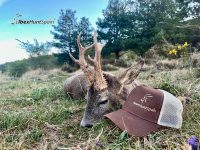 roe deer hunts in Spain
