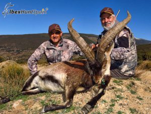 Southeastern Ibex, Southeastern Ibex Hunting in Spain, Southeastern Ibex hunting in Spain, Hunting Southeastern Ibex in Spain