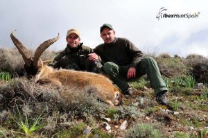 Southeastern Ibex hunt in Spain, Southeastern Ibex, Southeastern Ibex Hunting in Spain, Southeastern Ibex hunting in Spain, Hunting Southeastern Ibex in Spain, Sierra Nevada Ibex, Sierra Nevada Ibex hunt, Sierra Nevada Ibex Hunting, Sierra Nevada Ibex hunting in Spain, Hunting Sierra Nevada Ibex, Southeastern Ibex Hunting