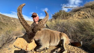 Ronda ibex hunting