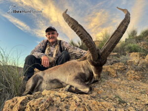 Southeastern ibex
