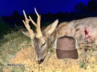 hunting in spain - roe deer hunts