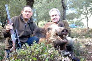 Wild boar hunting
