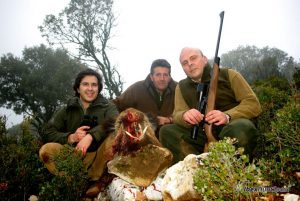 Wild boar hunting
